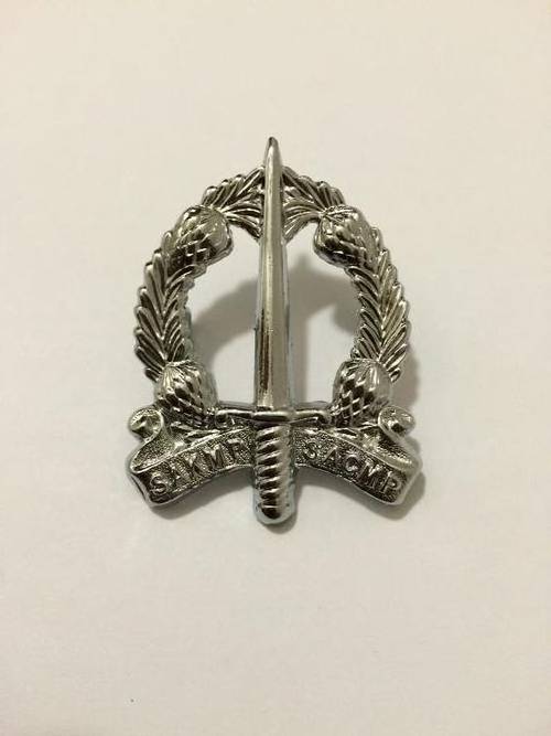 Military Police Cap / Beret Badge