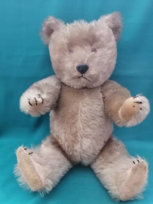 Vintage Collectable Teddy Bear 50cm