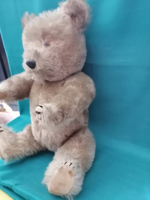 Vintage Collectable Teddy Bear 50cm