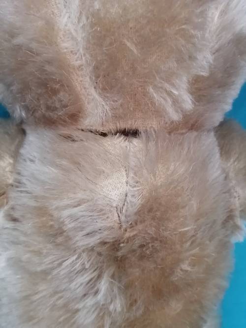 Vintage Collectable Teddy Bear 50cm