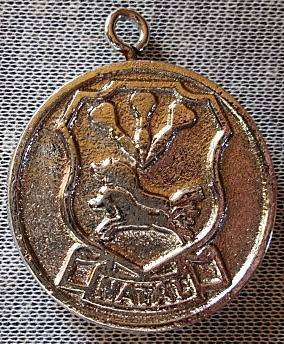 Darts Association Darts Medal