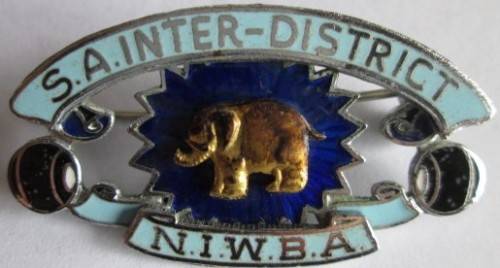 NIWBA S.A. Inter District Badge