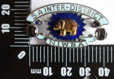 NIWBA S.A. Inter District Badge