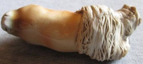 Cheval Ceramic Ornament