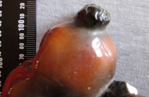 Cheval Ceramic Ornament