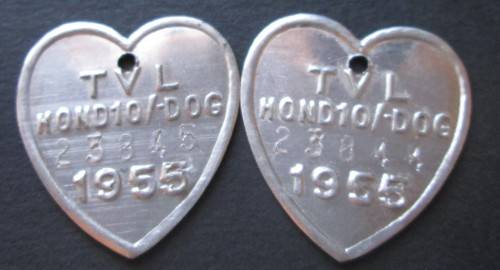 1955 TVL DOG LICENSE TAGS No. 23844/23845 (LOT)