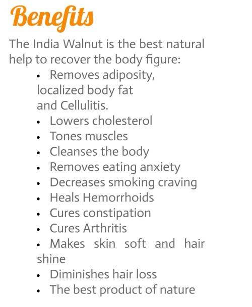 Bulk Buyer's & Resellers - NUEZ DE LA INDIA SLIMMING NUT!!! {12 Nuts per Packet}