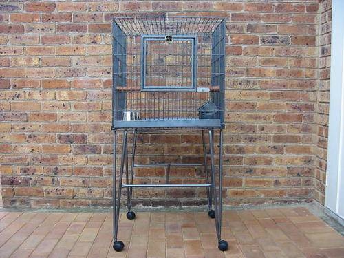 PARROT  BIRD  CAGE