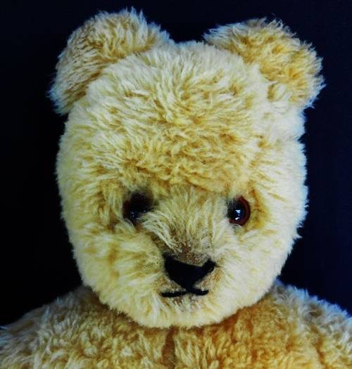 collectable vintage Ark teddy bear Made in South africa.