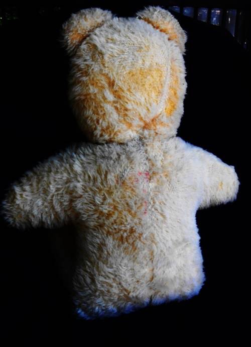 collectable vintage Ark teddy bear Made in South africa.