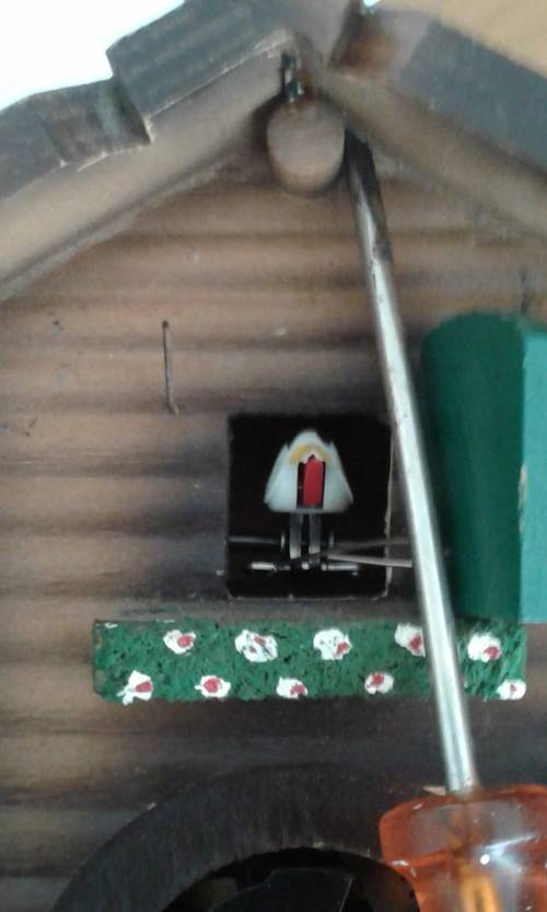 Cuckoo Clock