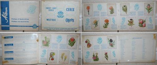 Bokomo Proteas of SOUTH AFRICA collectors card album 1960s - WEETBIX OTEES CERIX