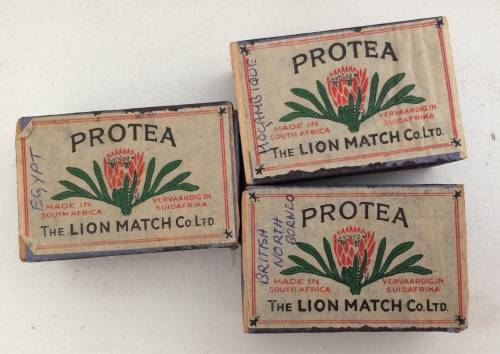 The Lion Match Co Ltd PROTEA MATCHES MATCHBOX - 1940s