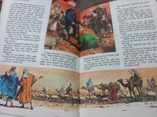 The children bible in colour
