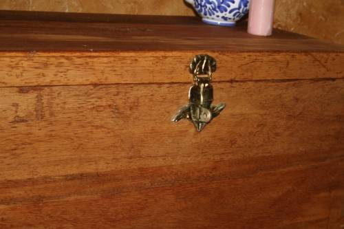 AN AWESOME SOLID KIAAT? CHEST/ STORAGE BOX - WILL LOOK STUNNING INF RONT OF A BED
