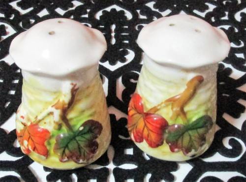 Beautiful light cream colored porcelain salt and pepper shaker with stylized  raised  - BI