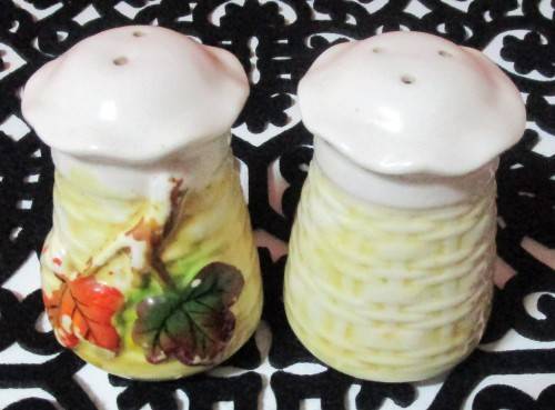 Beautiful light cream colored porcelain salt and pepper shaker with stylized  raised  - BI