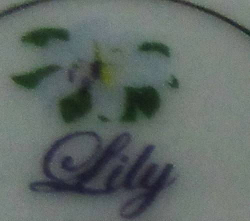 Gorgeous Lily Porcelain Tea Cup and Saucer.  Dark Rich brown with Stunning Gold Detail.