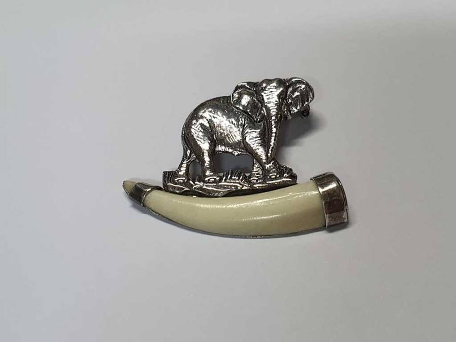 Discover the timeless charm of the Kruger Park Elephant Brooch