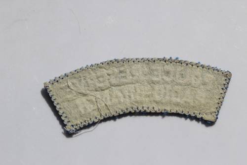 B.S.A.P. Radio Branch Sholder Flash ( C567)