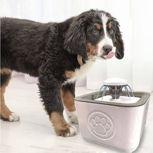 PET WATER FOUNTAIN WITH FILTER FOR CATS, DOGS OR BIRDS