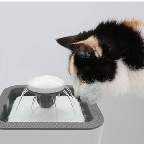 PET WATER FOUNTAIN WITH FILTER FOR CATS, DOGS OR BIRDS