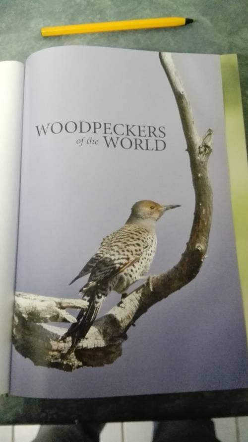 WOODPECKERS OF THE WORLD ; A Photographic Guide : GERARD GORMAN First Printing 2014