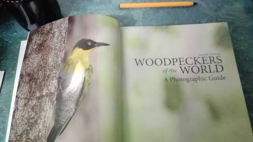 WOODPECKERS OF THE WORLD ; A Photographic Guide : GERARD GORMAN First Printing 2014