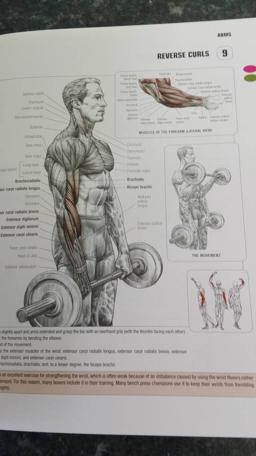 STRENGTH TRAINING ANATOMY FREDERIC DELAVIER Second Edition