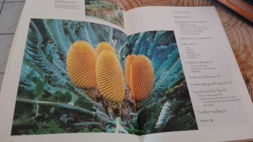 GROW CYCADS  Kirstenbosch Gardening Series John Donaldson and John Winter 1996