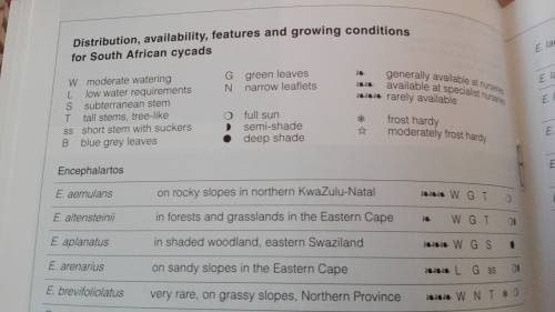 GROW CYCADS  Kirstenbosch Gardening Series John Donaldson and John Winter 1996