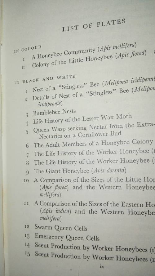 THE WORLD OF THE HONEY BEE COLIN G BUTLER
