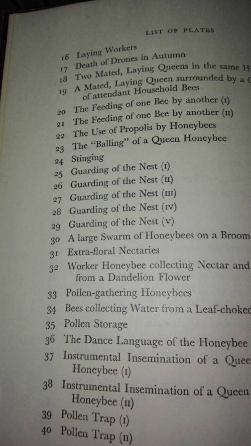 THE WORLD OF THE HONEY BEE COLIN G BUTLER