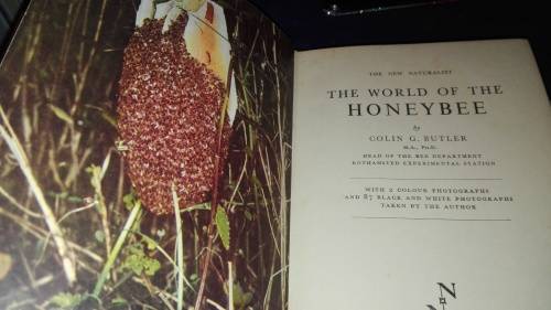 THE WORLD OF THE HONEY BEE COLIN G BUTLER