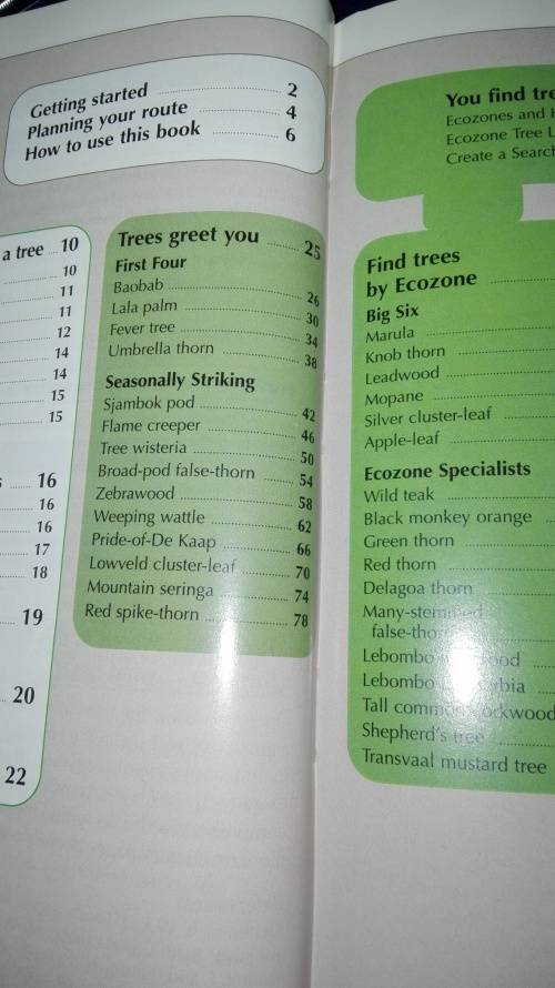 SAPPI TREE SPOTTING  LOWVELD  Tree Identification Made Easy Jacana ( signed by Illustrator )   )