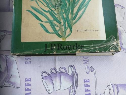 THE PROTEAS OF SOUTHERN AFRICA J P ROURKE Second Revised Edition with Key to the Species some damage