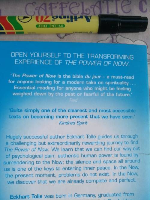 THE POWER OF NOW ECKHART TOLLE A Guide to Spiritual Enlightenment 2 Books inc Practising the POWER o