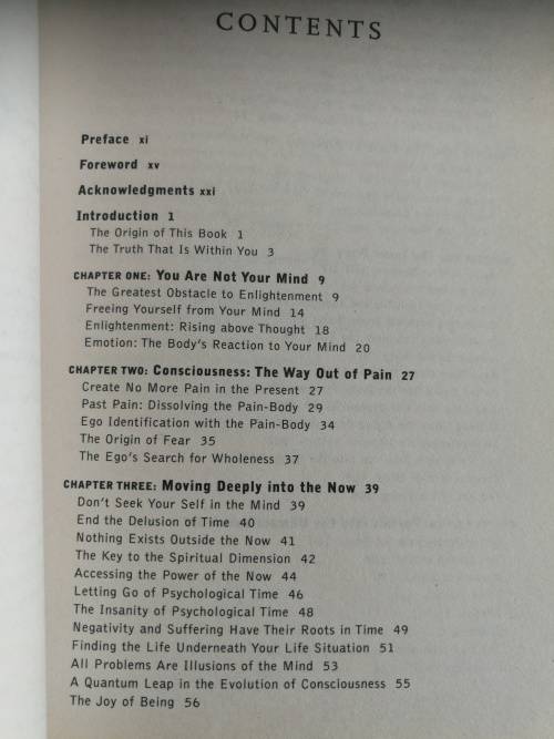 THE POWER OF NOW ECKHART TOLLE A Guide to Spiritual Enlightenment 2 Books inc Practising the POWER o