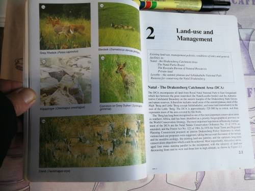 A FIELD GUIDE TO THE NATAL DRAKENSBERG Dave and Pat IRWIN Fully Revised Second Edition Signed