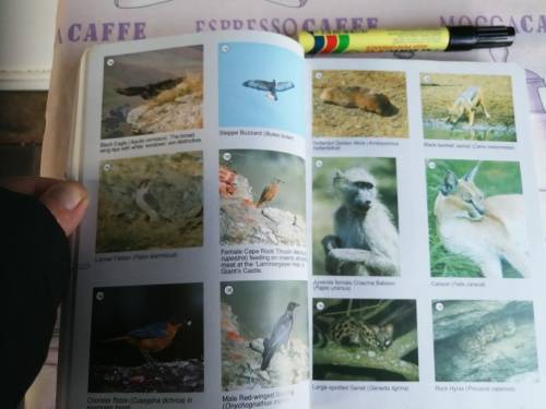 A FIELD GUIDE TO THE NATAL DRAKENSBERG Dave and Pat IRWIN Fully Revised Second Edition Signed