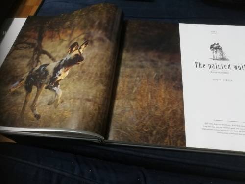 Signed by both Authors IN SEARCH OF THE AFRICAN WILD DOG ROGER and PAT DE LA HARPE  signed