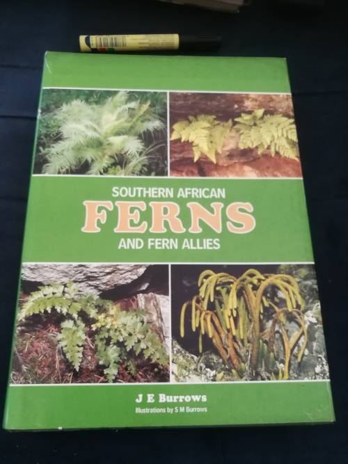 SOUTHERN AFRICAN FERNS AND FERN ALLIES  J E BURROWS