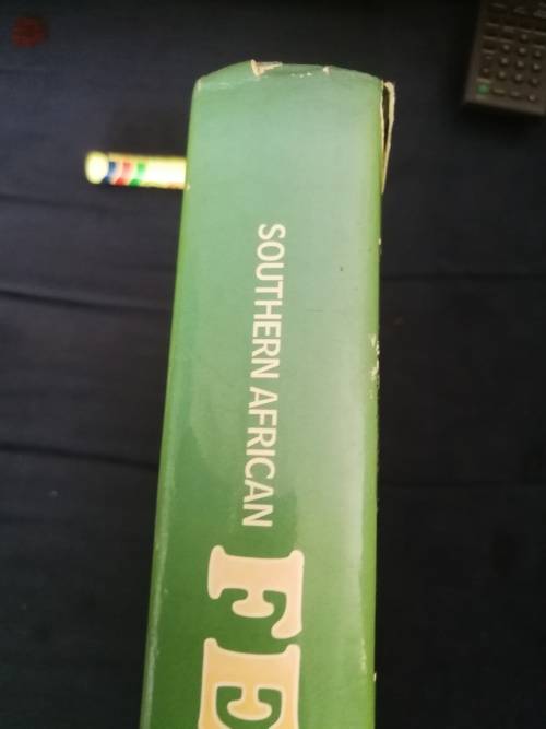 SOUTHERN AFRICAN FERNS AND FERN ALLIES  J E BURROWS