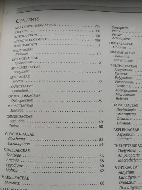 SOUTHERN AFRICAN FERNS AND FERN ALLIES  J E BURROWS