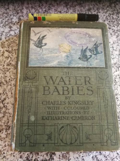 THE WATER BABIES by CHARLES KINGSLEY with coloured illustrations by Katherine Cameron  around 1919