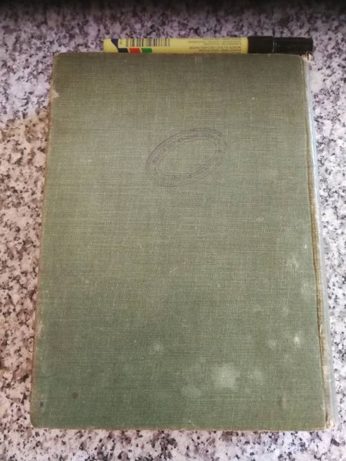 THE WATER BABIES by CHARLES KINGSLEY with coloured illustrations by Katherine Cameron  around 1919