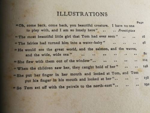 THE WATER BABIES by CHARLES KINGSLEY with coloured illustrations by Katherine Cameron  around 1919