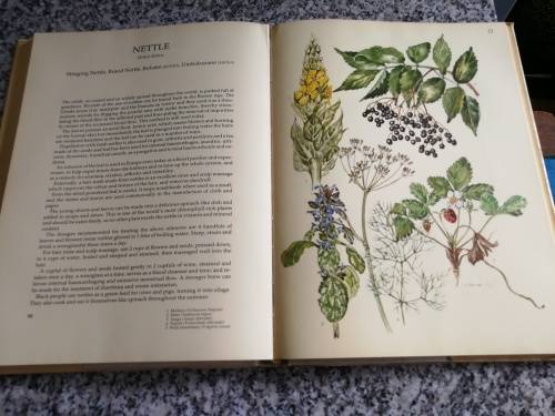 The MEDICINAL and CULINARY USES  of HERBS MARGARET ROBERTS BOOK of HERBS ( healing and cooking )