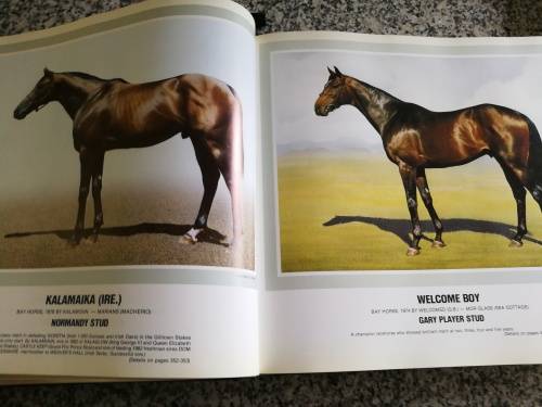 FORM STALLION REGISTER Volume II 1982 Editor , CHARLES FAULL Horse Racing Breeding Horses