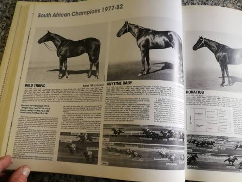 FORM STALLION REGISTER Volume II 1982 Editor , CHARLES FAULL Horse Racing Breeding Horses